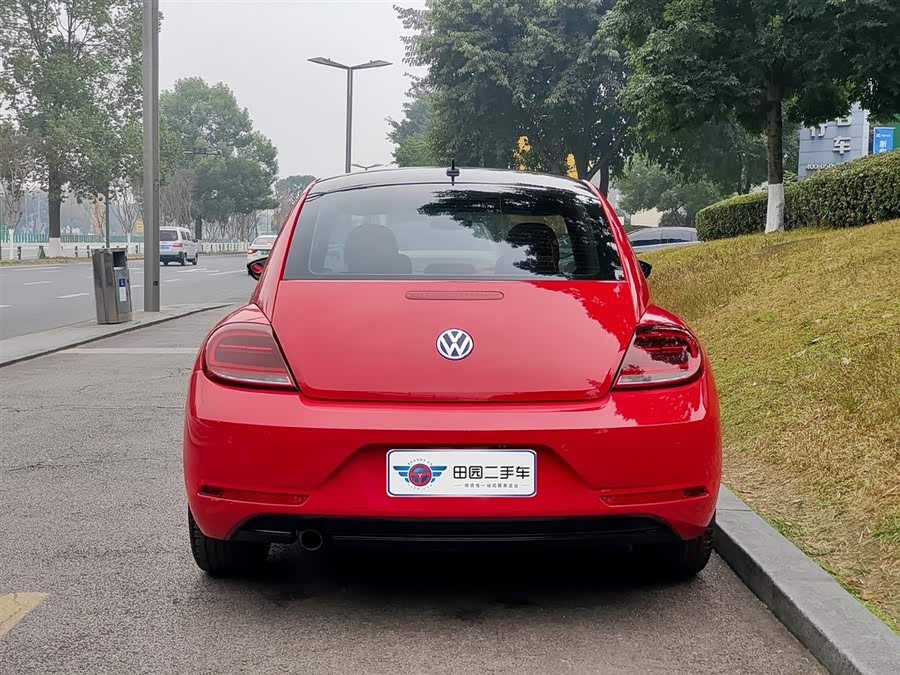 Volkswagen Beetle 2018 immagine di auto #6