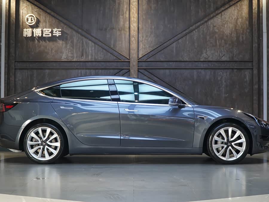 Tesla Model 3 2020 car image #6