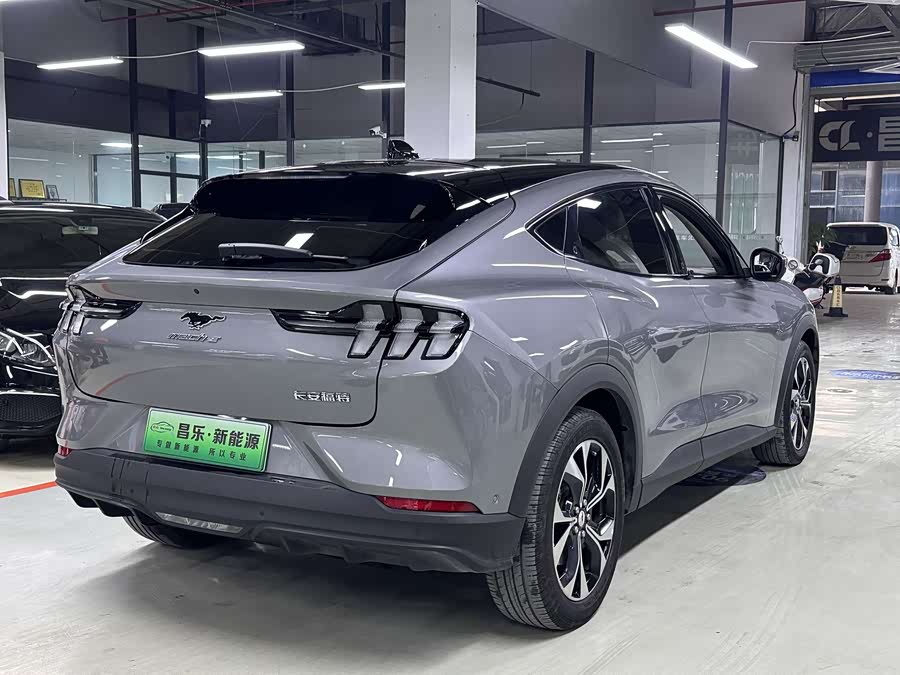 Ford Mustang Mach-E 2022 car image #6