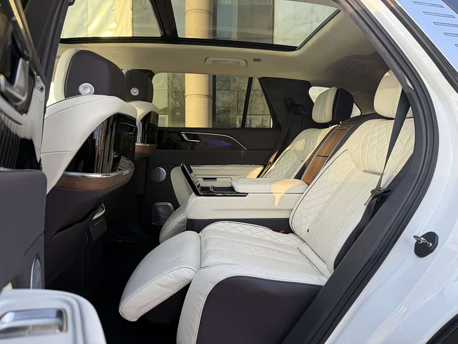 HongQi E-HS9 2020 image de voiture #6