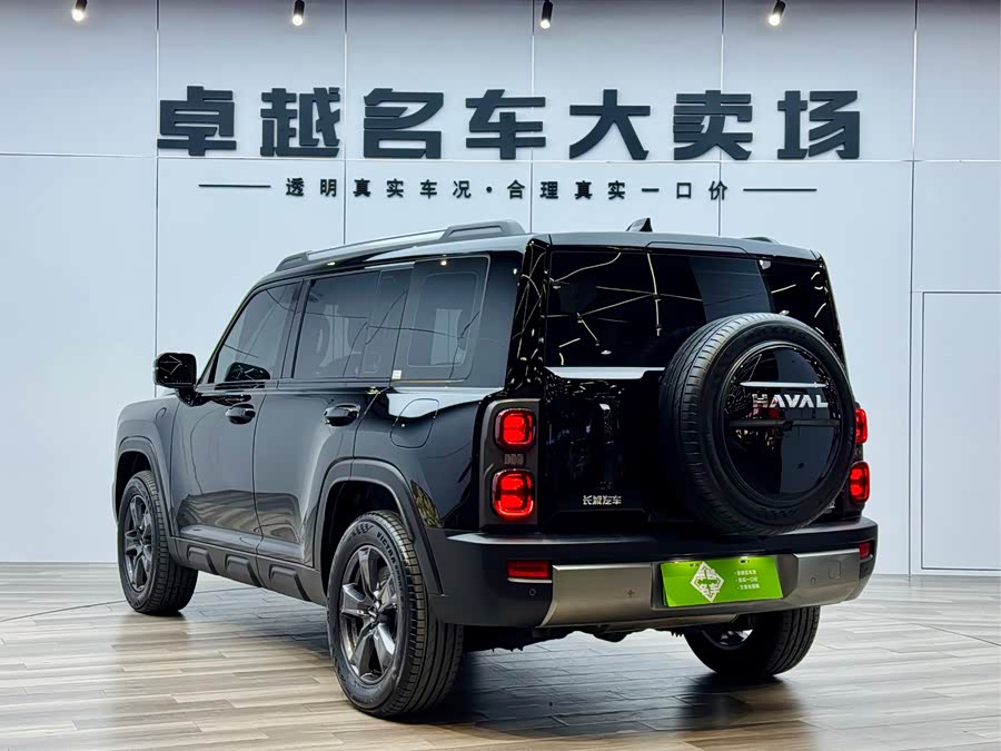Haval Raptor New Energy 2023 car image #6