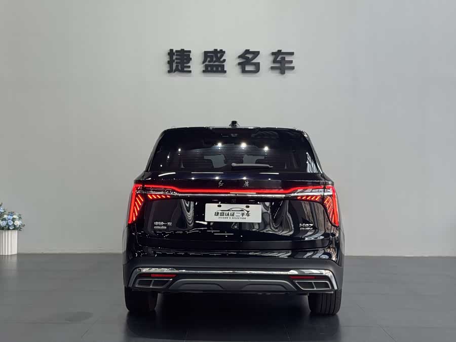 HongQi HS7 2024 car image #6