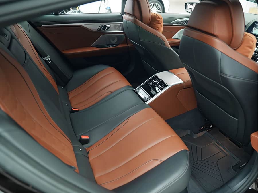 BMW 8 Series 2020 car image #6