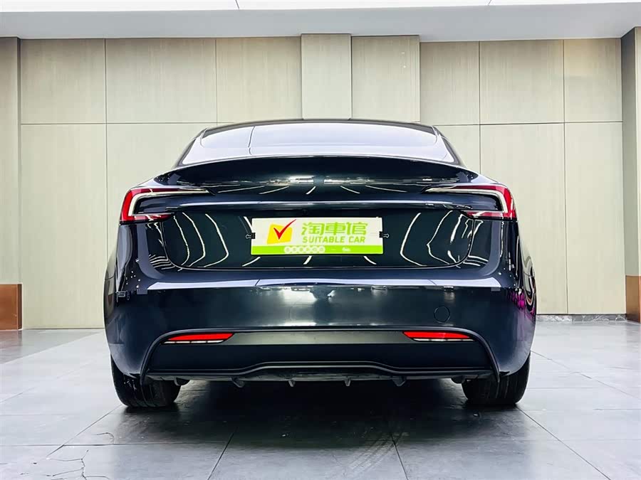 Tesla Model 3 2024 car image #6