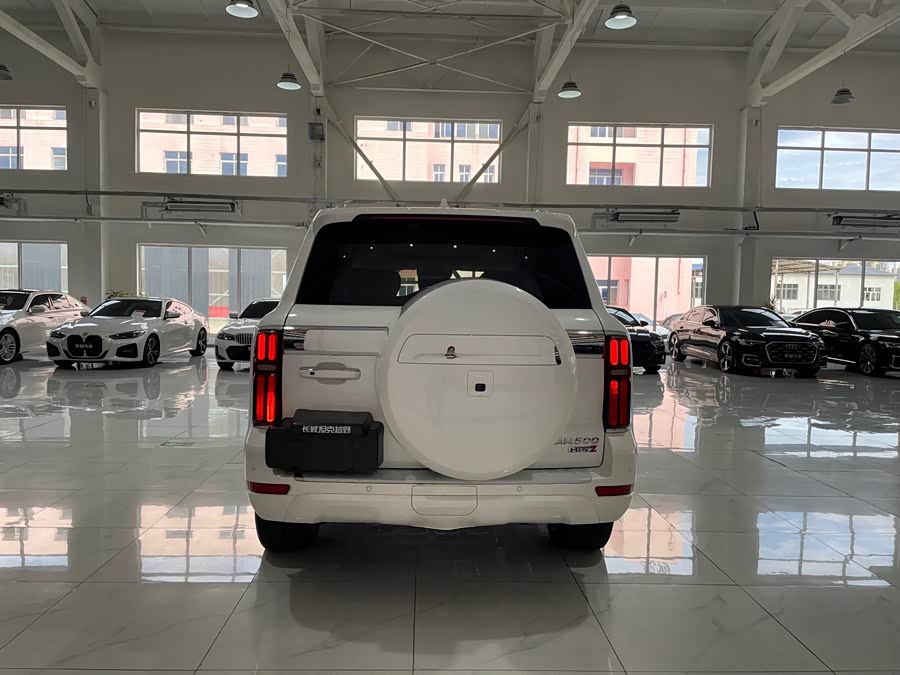 Tank 500 New Energy 2024 car image #6