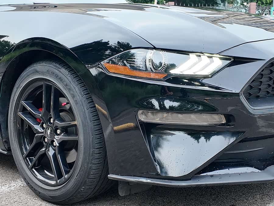 Ford Mustang 2022 car image #6