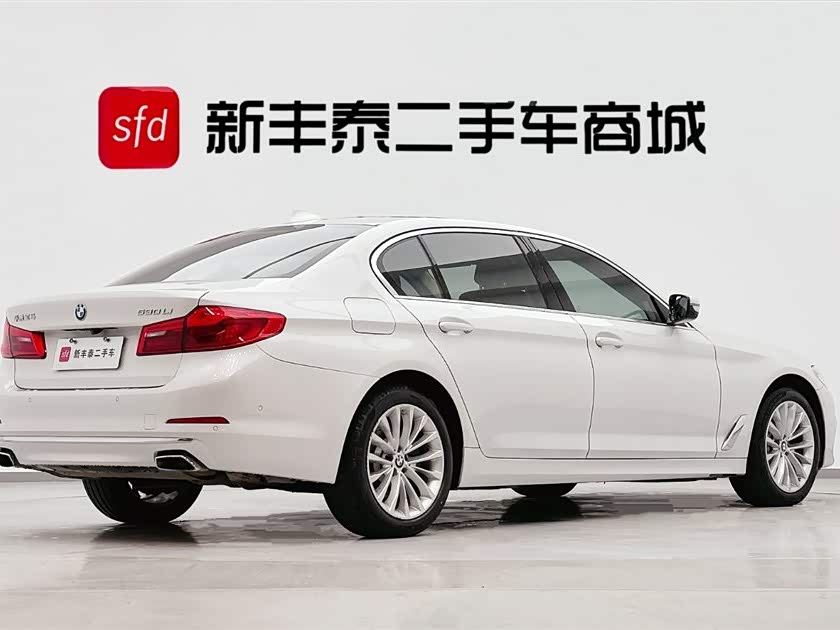 BMW 5 Series 2020 car image #6