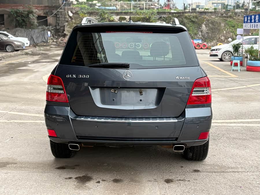 Mercedes-Benz GLK Class (Imported) 2010 car image #6