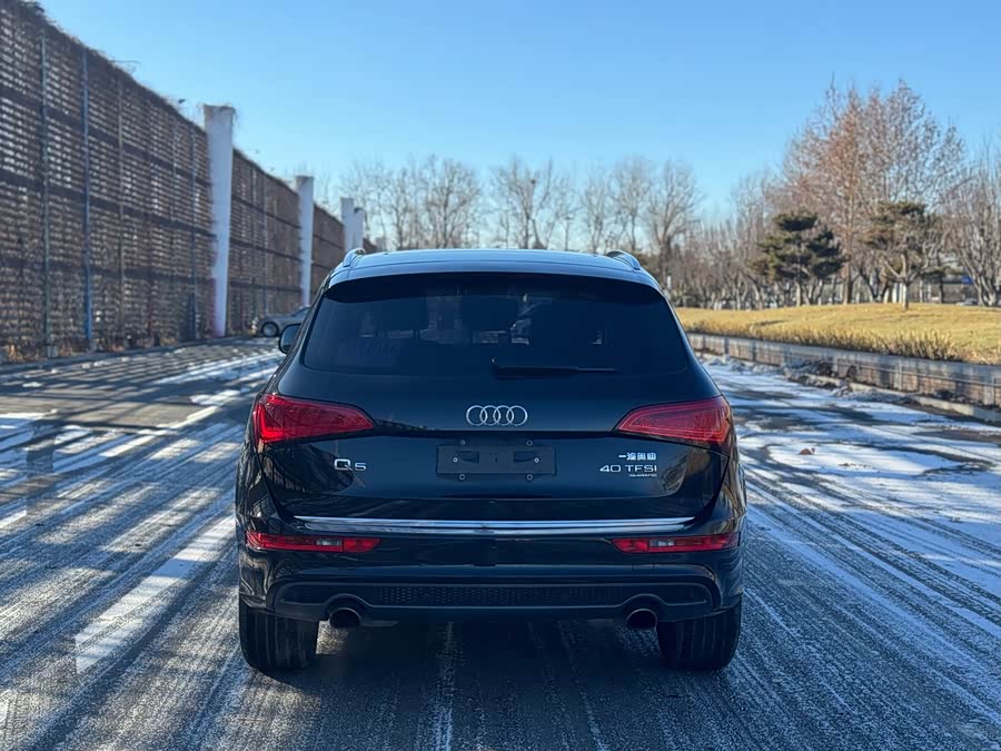 Audi Q5 2018 صورة سيارة #6