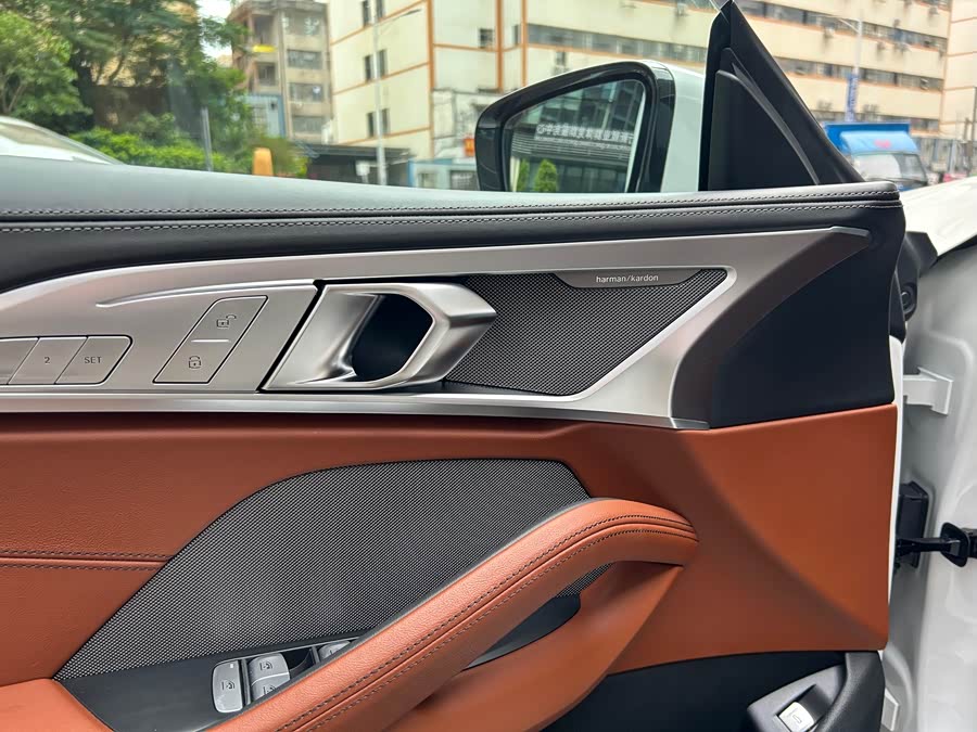 BMW 8 Series 2020 #6 BMW 8 Series 2020 car image #6