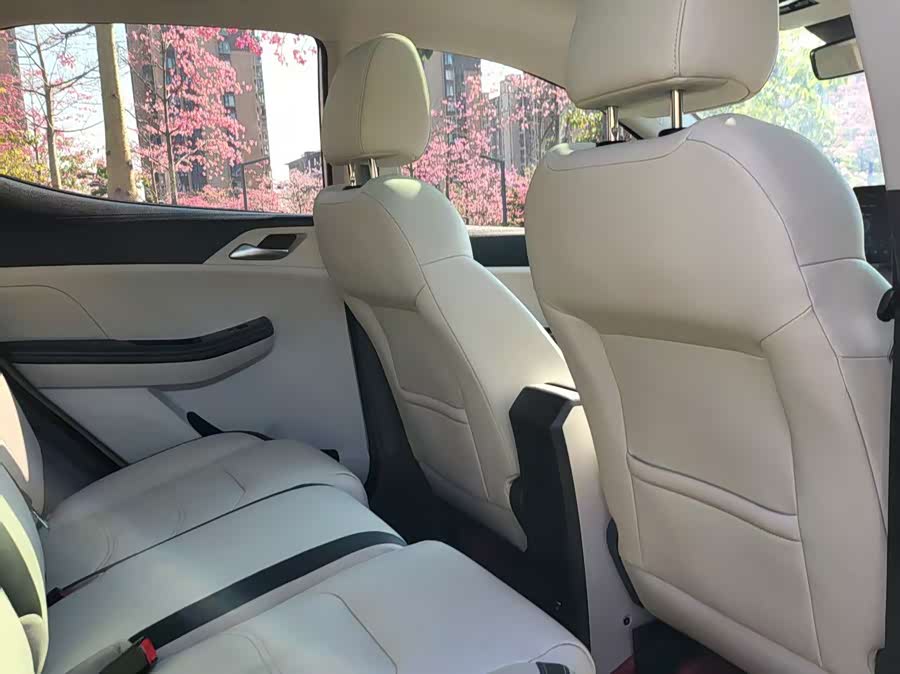 BYD Yuan Pro 2021 car image #6