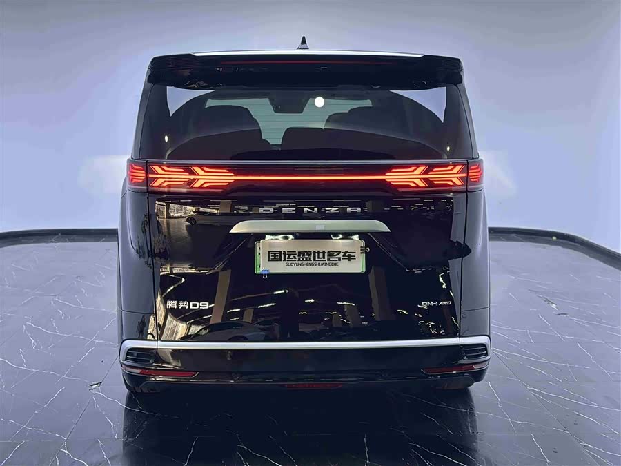 Denza D9 2023 immagine di auto #6