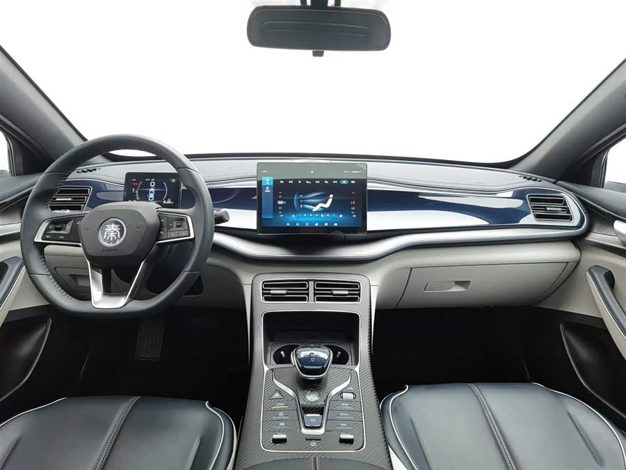 BYD Qin Plus 2022 immagine di auto #6