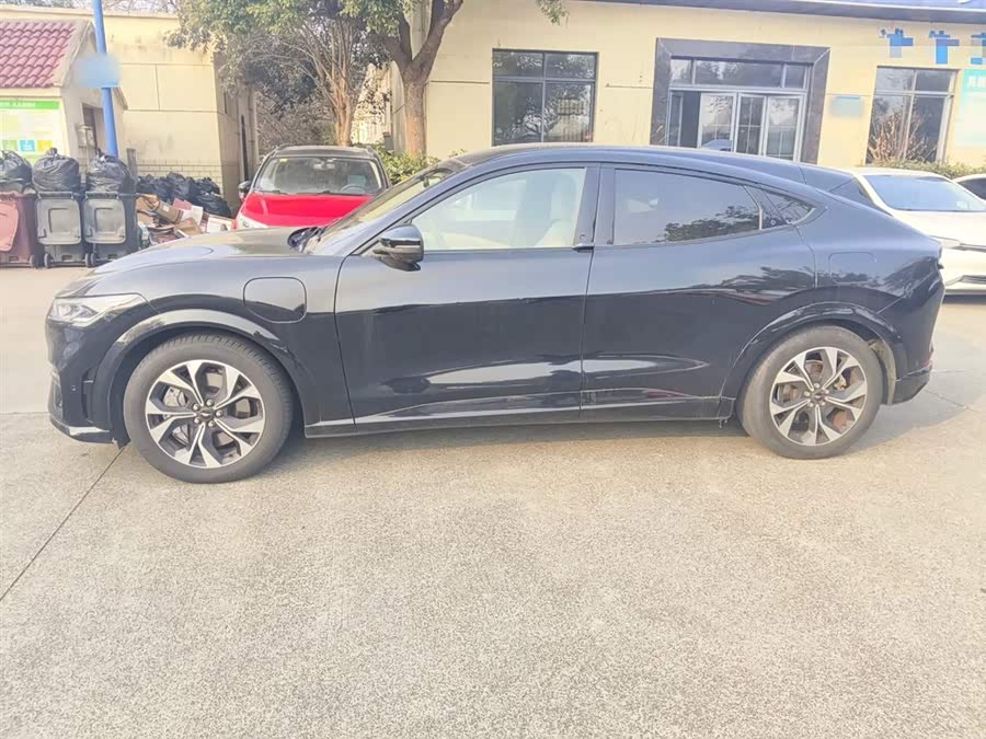 Ford Mustang Mach-E 2022 car image #6