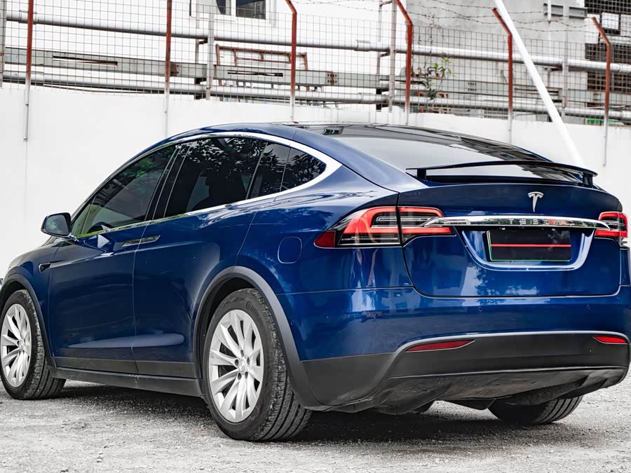 Tesla Model X 2020 car image #6