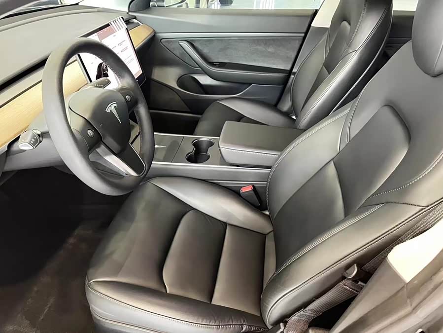 Tesla Model 3 2020 #6 Tesla Model 3 2020 car image #6