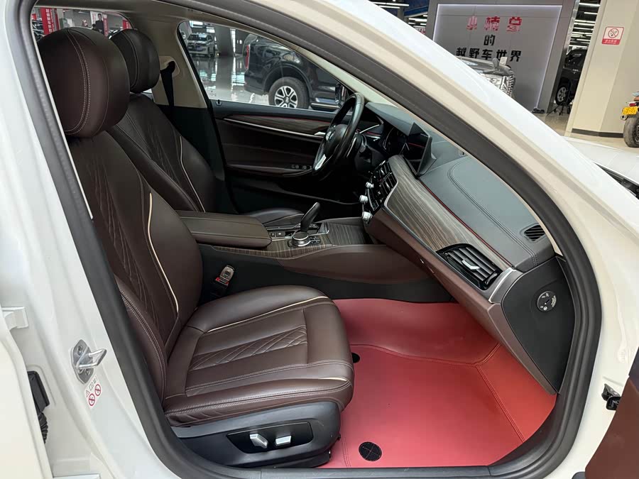 BMW 5 Series 2018 car image #6