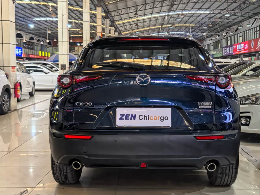 Mazda CX-30 2022 car image #6