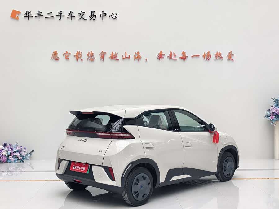 BYD Seagull 2025 #6 BYD Seagull 2025 immagine di auto #6