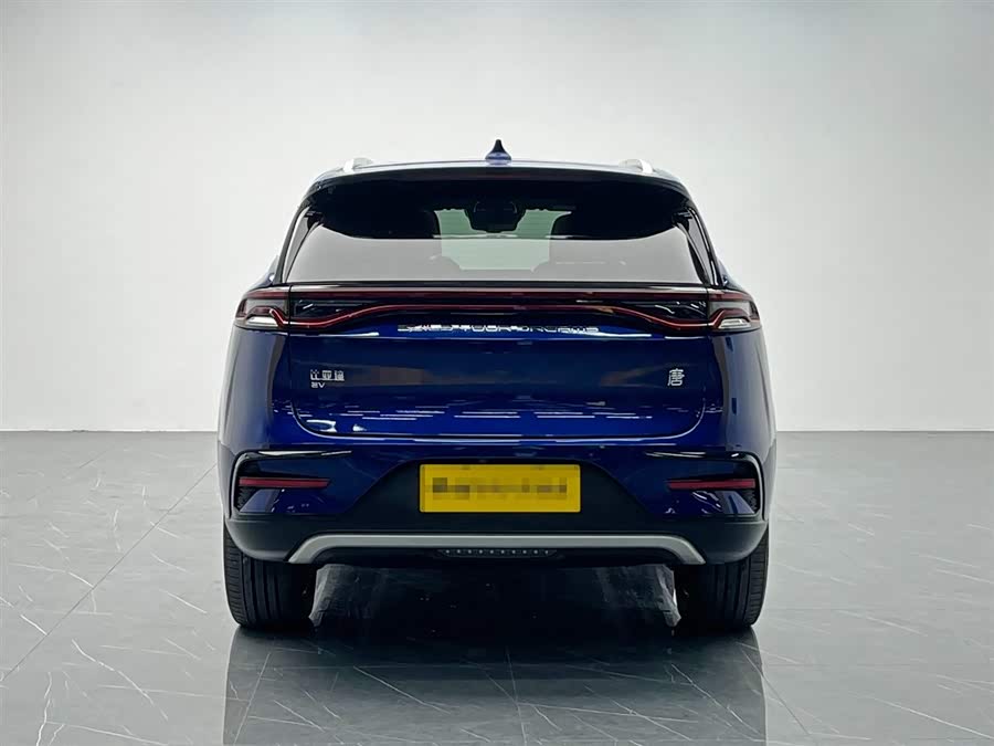 BYD Tang New Energy 2022 immagine di auto #6