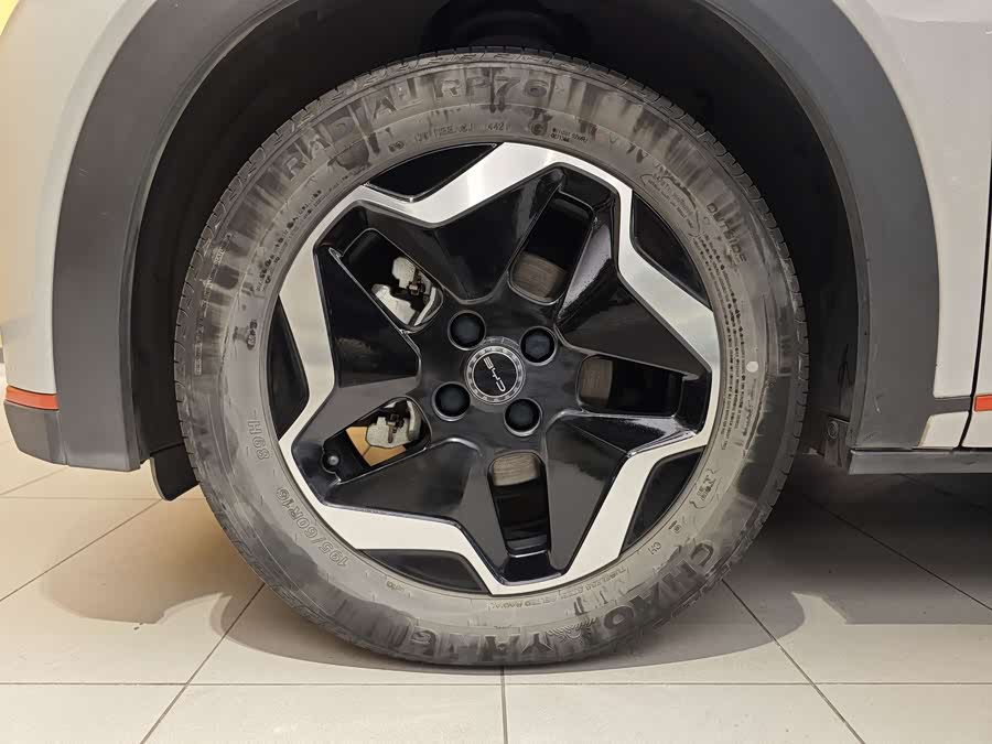 BYD Dolphin 2022 car image #6