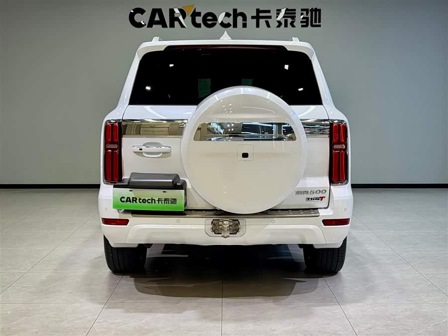 Tank 500 New Energy 2025 car image #6