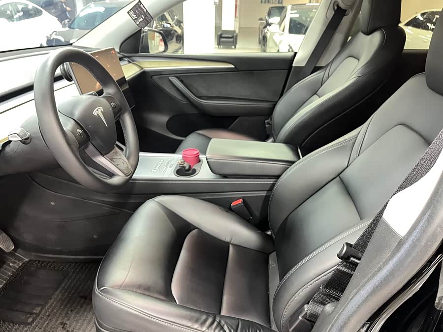 Tesla Model Y 2022 car image #6