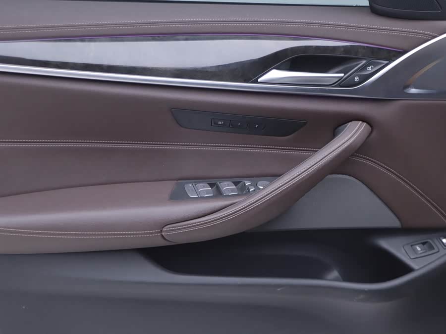 BMW 5 Series New Energy 2021 car image #6