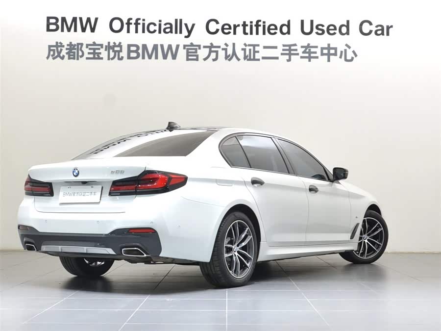 BMW 5 Series New Energy 2021 car image #6