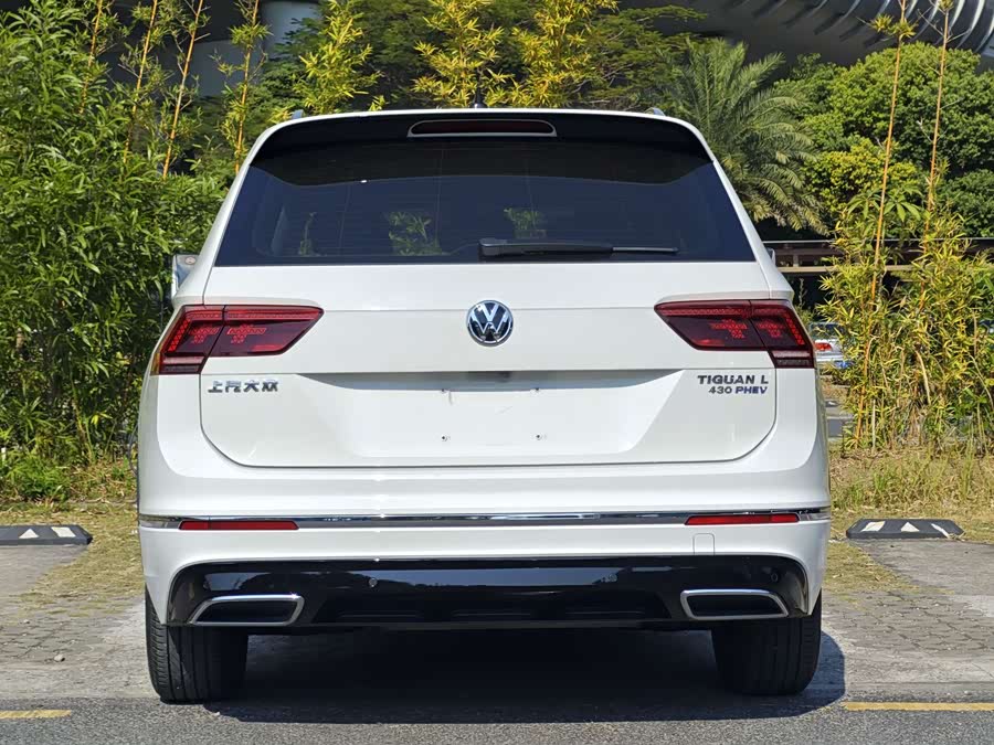Volkswagen Tiguan L New Energy 2020 car image #6