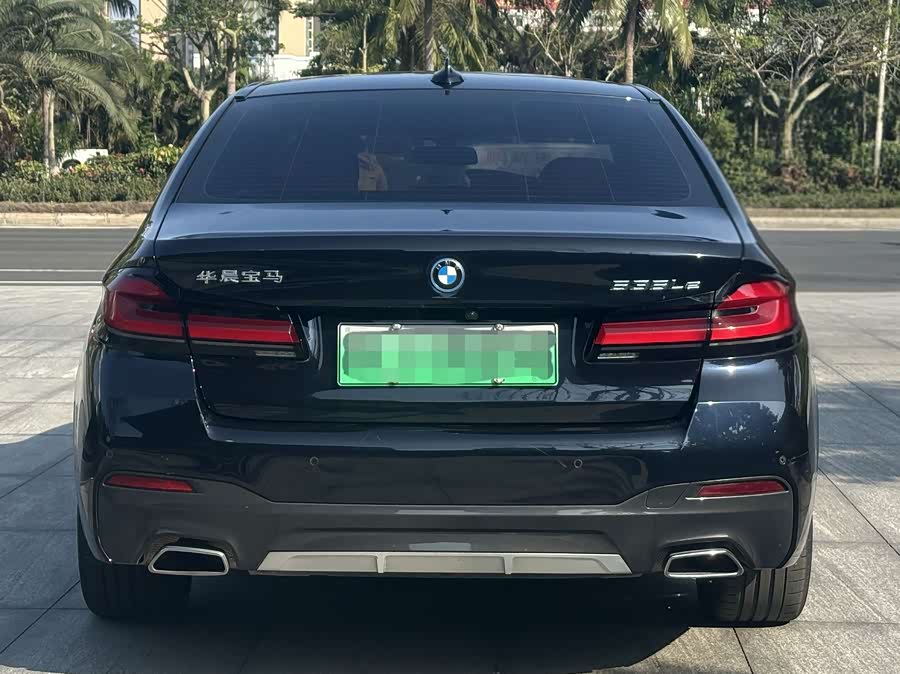 BMW 5 Series New Energy 2021 car image #6