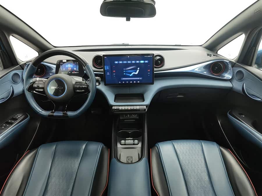 BYD Dolphin 2023 car image #6