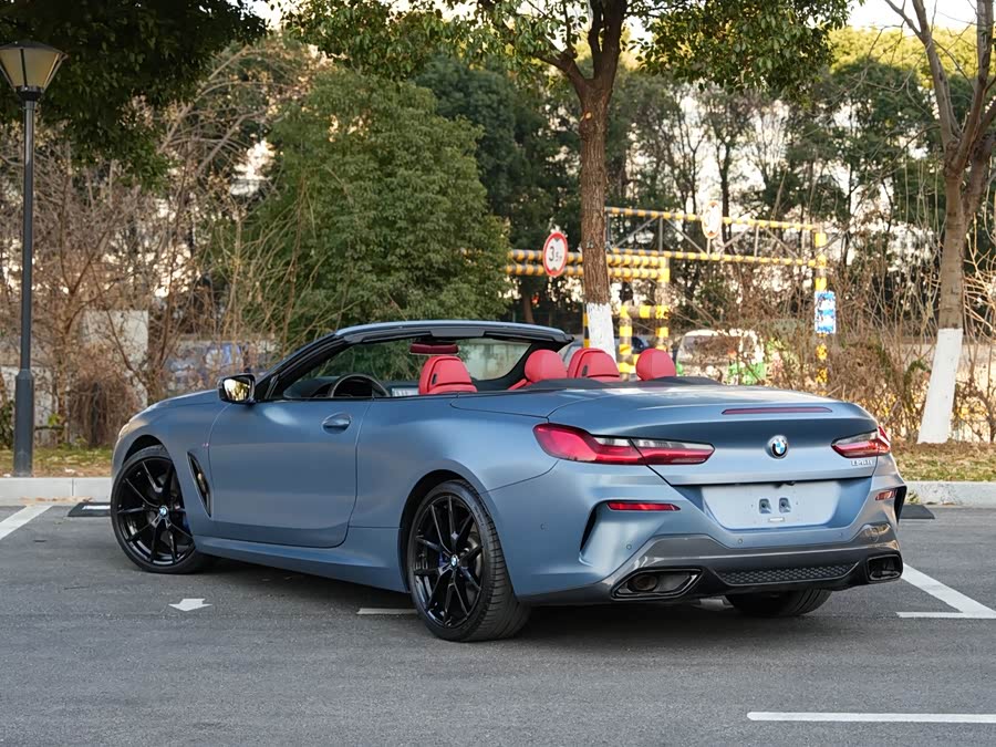 BMW 8 Series 2019 car image #6