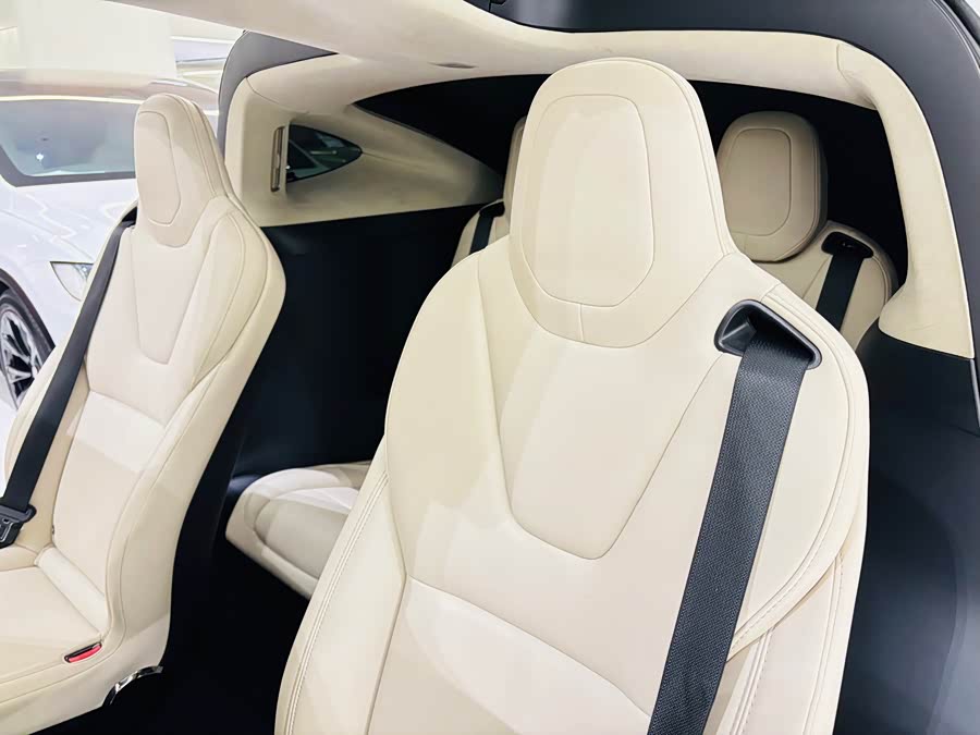 Tesla Model X 2018 car image #6