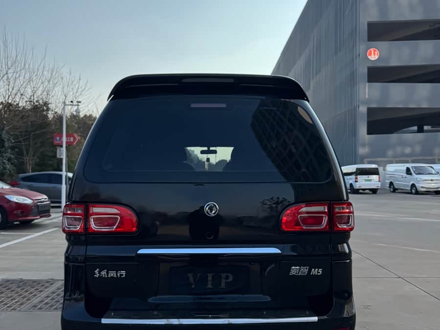 Forthing Lingzhi 2020 car image #6