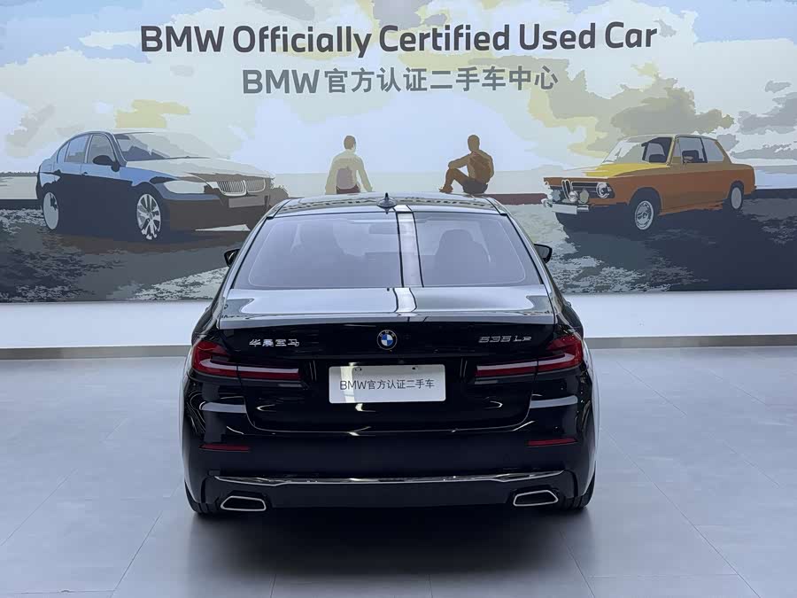 BMW 5 Series New Energy 2020 car image #6