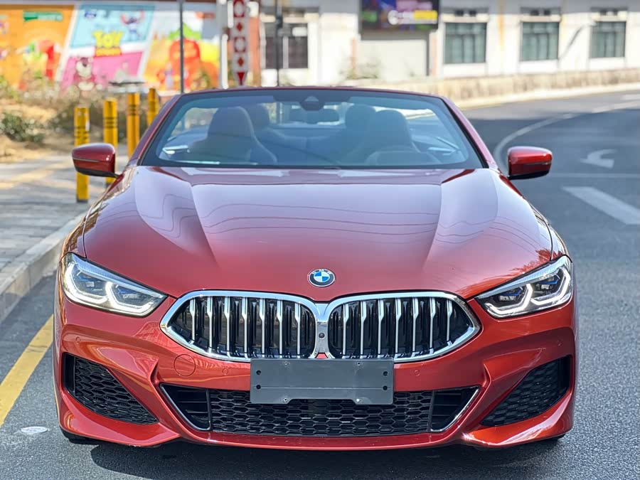 BMW 8 Series 2020 #6 BMW 8 Series 2020 car image #6