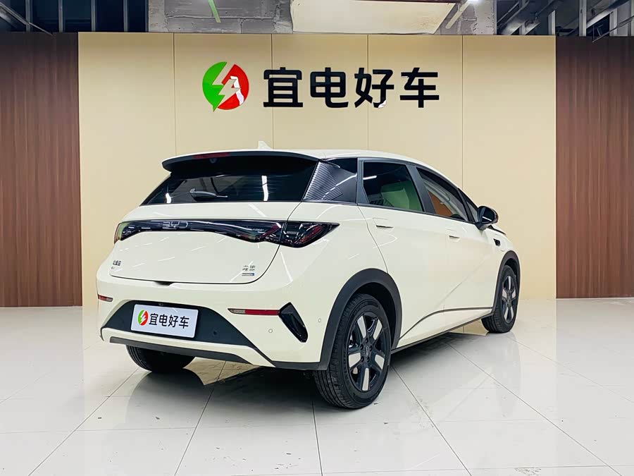 BYD Dolphin 2025 car image #6