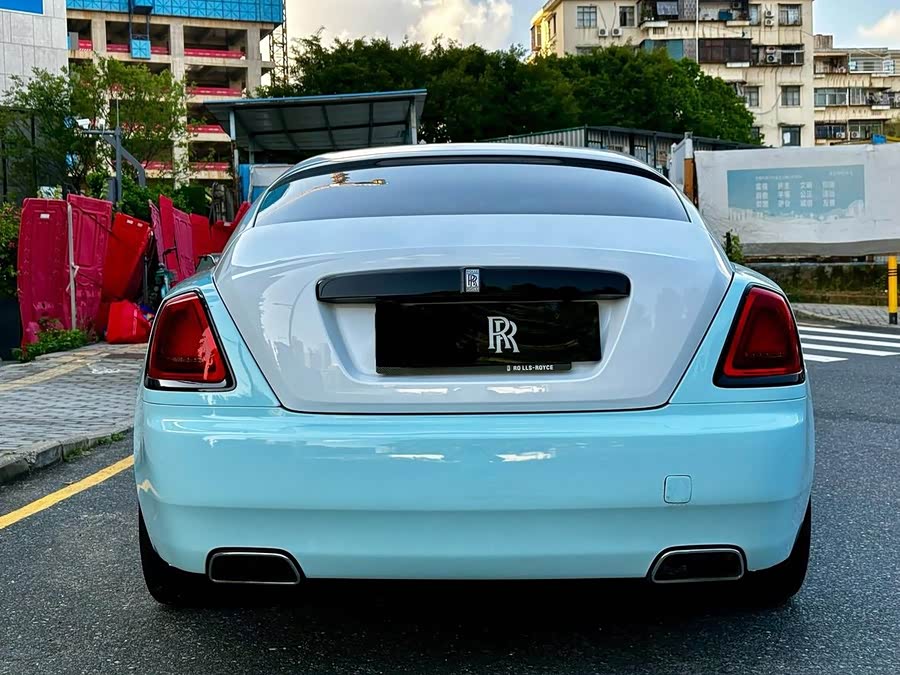 Denza Wraith 2014 immagine di auto #6