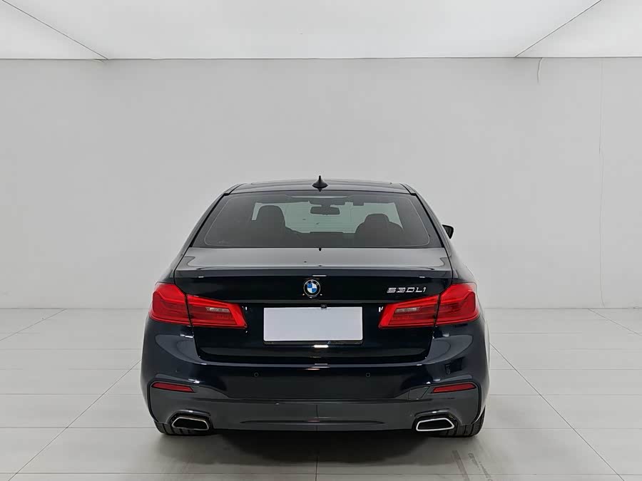 BMW 5 Series 2019 #6 BMW 5 Series 2019 car image #6