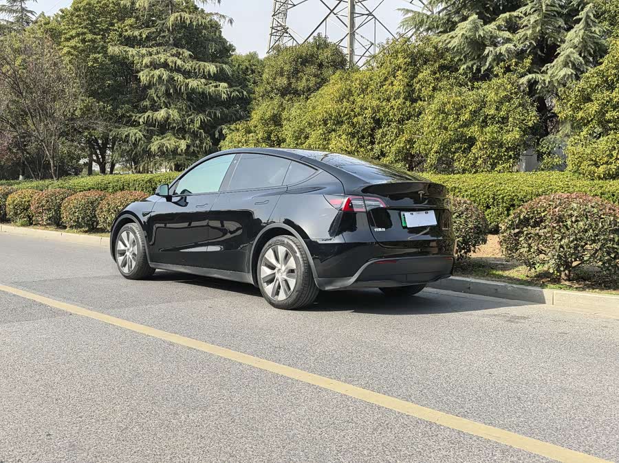 Tesla Model Y 2021 car image #6