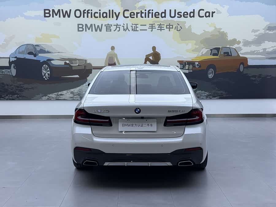 BMW 5 Series New Energy 2020 car image #6