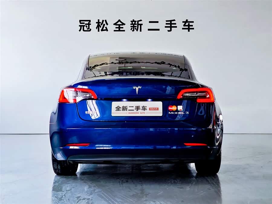 Tesla Model 3 2020 #6 Tesla Model 3 2020 car image #6