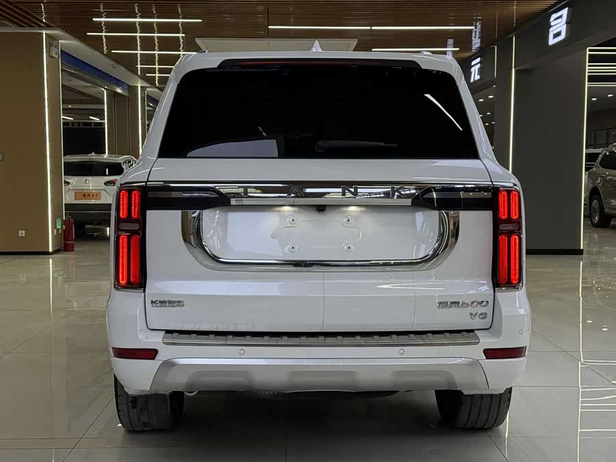 坦克 坦克500 2022 汽车图片 #6