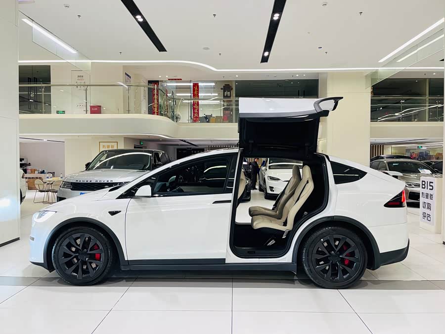 Tesla Model X 2023 car image #6