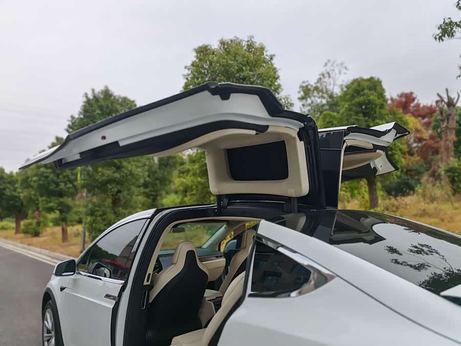 Tesla Model X 2018 immagine di auto #6