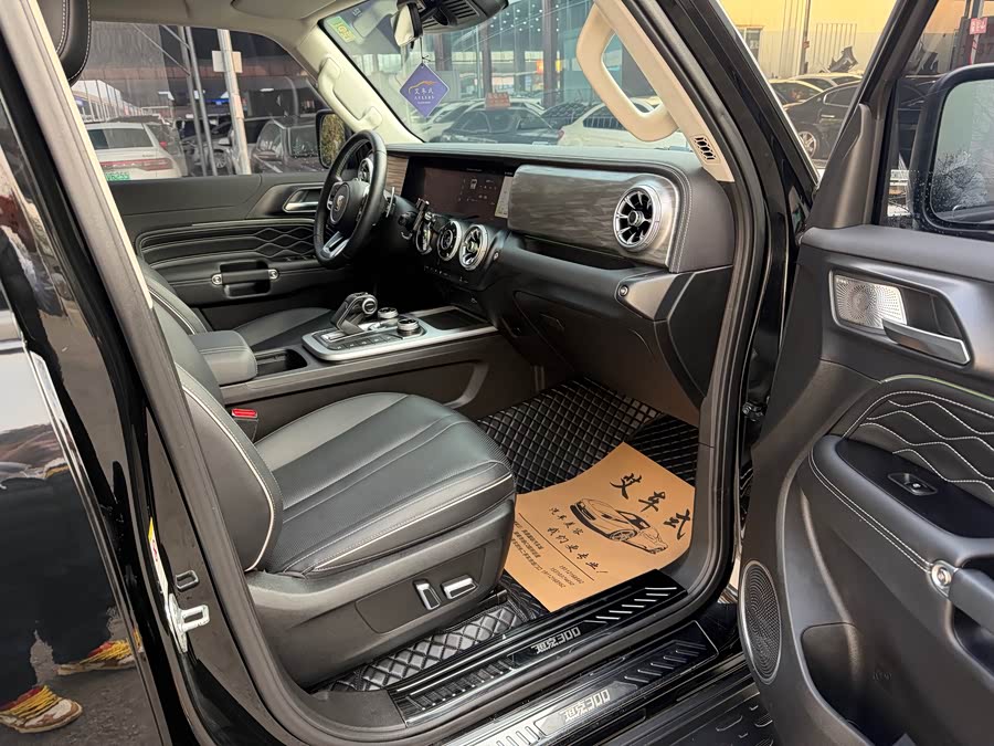 Tank 300 2023 car image #6