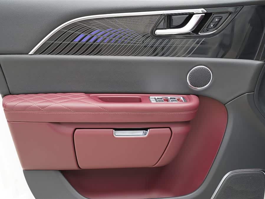 HongQi E-HS9 2022 immagine di auto #6