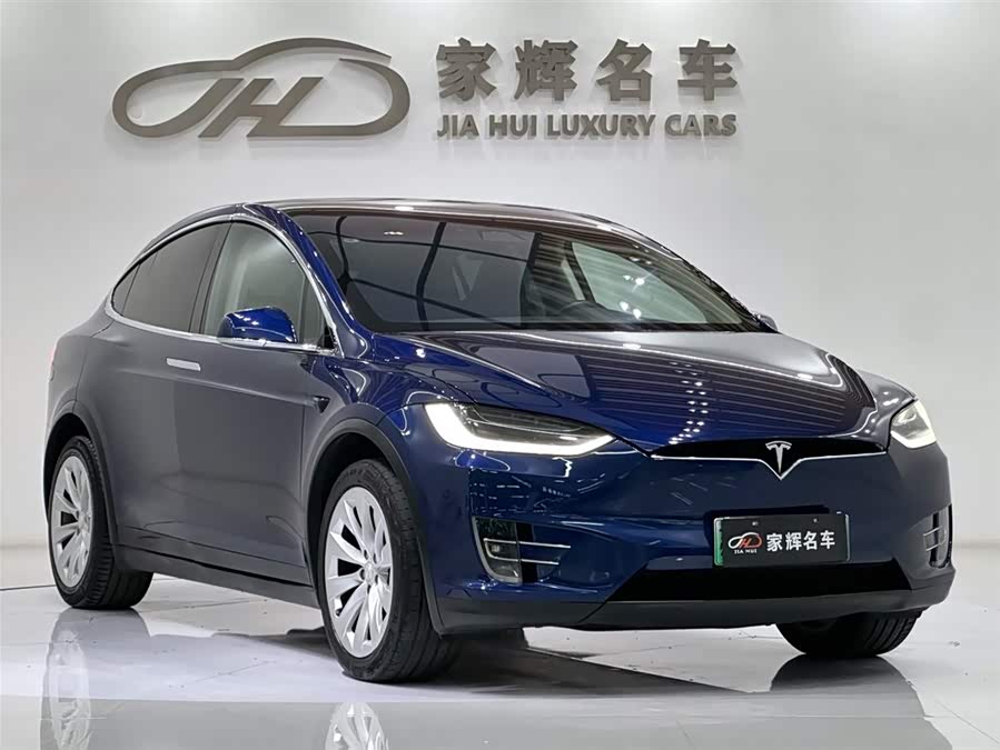 Tesla Model X 2018 car image #6