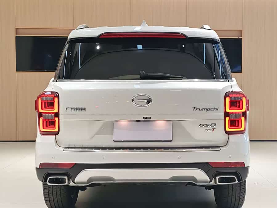 GAC Trumpchi GS8 2019 car image #6